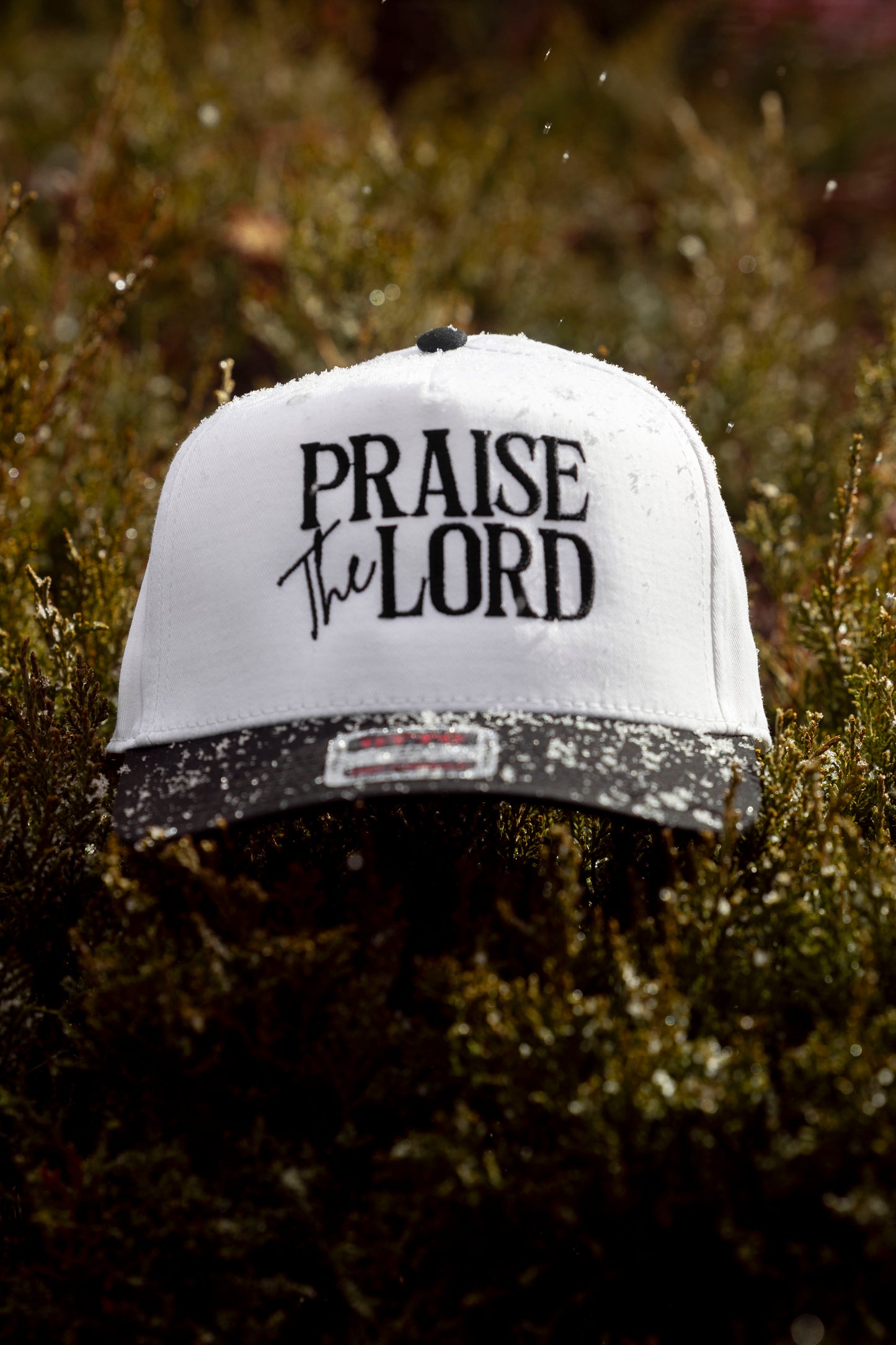 Praise The Lord Embroidered Trucker Hat, Christian Hat, Faith Apparel, Embroidered Trucker Cap, Easter Embroidered Jesus hat
